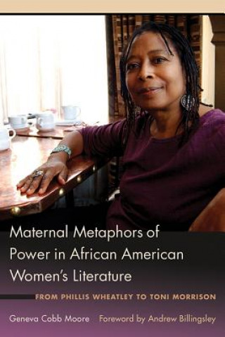 Kniha Maternal Metaphors of Power in African American Women's Literature Geneva Cobb Moore