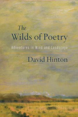 Kniha Wilds of Poetry David Hinton