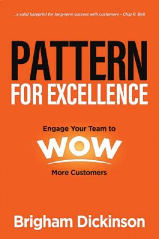 Knjiga Pattern for Excellence Brigham Dickinson