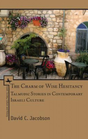 Kniha Charm of Wise Hesitancy David C. Jacobson