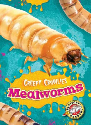 Carte Mealworms Kari Schuetz