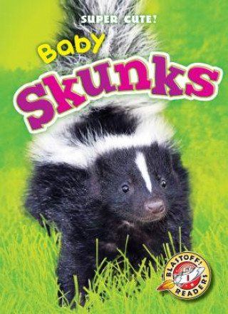 Kniha Baby Skunks Megan Borgert-Spaniol