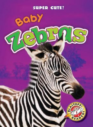 Carte Baby Zebras Megan Borgert-Spaniol