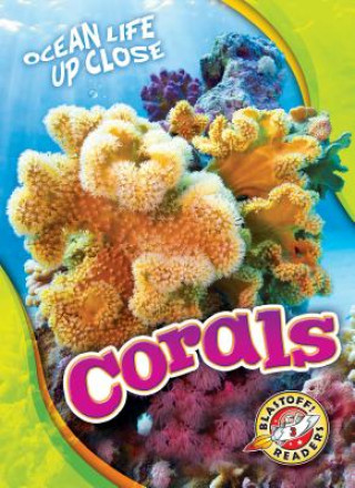 Carte Corals Mari Schuh