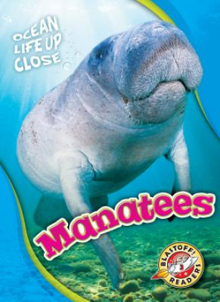 Kniha Manatees Rebecca Pettiford