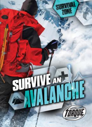 Knjiga Survive an Avalanche Patrick Perish