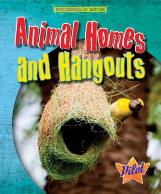 Knjiga Animal Homes and Hangouts Louise Spilsbury