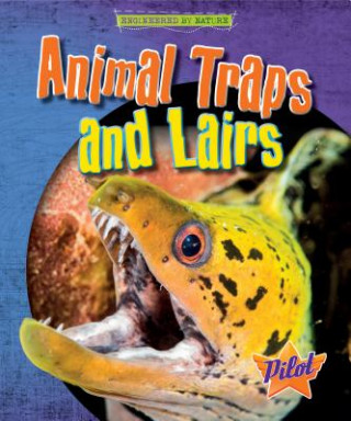 Livre Animal Traps and Lairs Louise Spilsbury