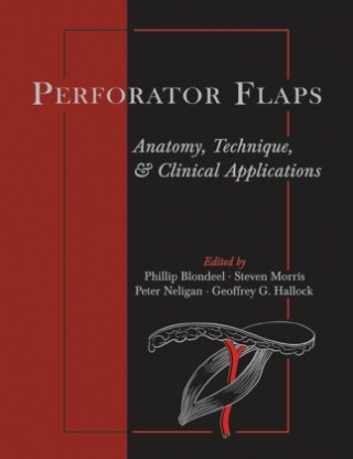 Kniha Perforator Flaps Steven Morris