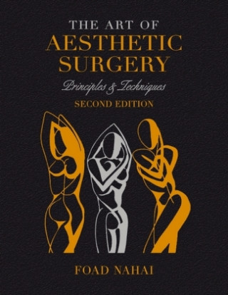 Könyv Art of Aesthetic Surgery: Fundamentals and Minimally Invasive Surgery - Volume 1, Second Edition Nahai