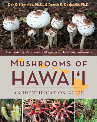 Könyv Mushrooms of Hawai'i Don E. Hemmes