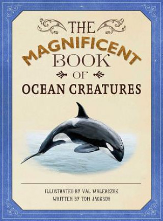 Könyv The Magnificent Book of Ocean Creatures Tom Jackson