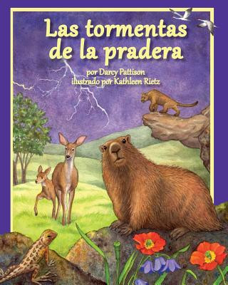 Boek PRAIRIE STORMS Darcy Pattison