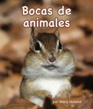 Könyv BOCAS DE ANIMALES Mary Holland