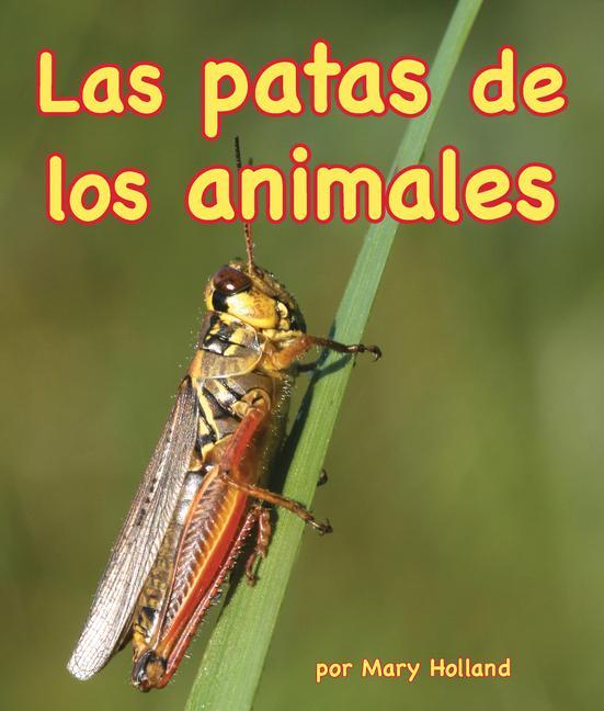 Book SPA-PATAS DE LOS ANIMALES Mary Holland