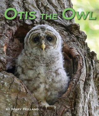 Książka Otis the Owl Mary Holland