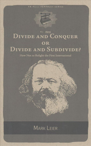 Livre Divide And Conquer Or Divide And Subdivide? Mark Leier