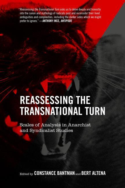 Kniha Reassessing The Transnational Turn Bert Altena