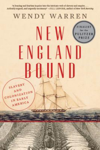 Kniha New England Bound: Slavery and Colonization in Early America Wendy Warren