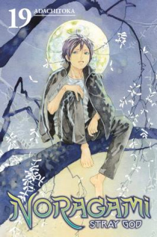Kniha Noragami: Stray God 19 Adachitoka