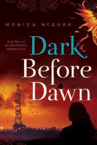 Książka DARK BEFORE DAWN Monica McGurk