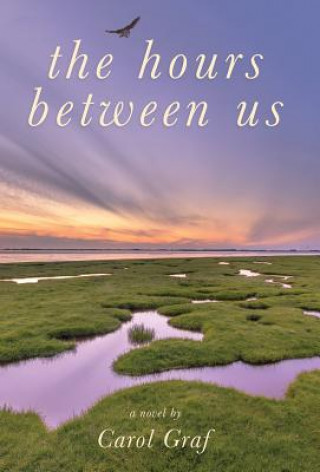 Boek Hours Between Us Carol Graf