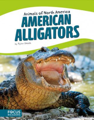 Carte American Alligators Tyler Omoth