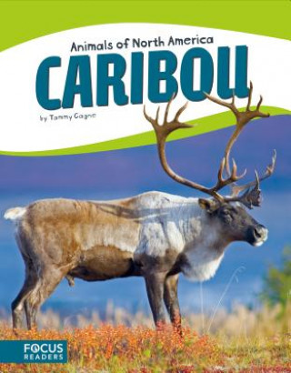 Könyv Caribou Tammy Gagne