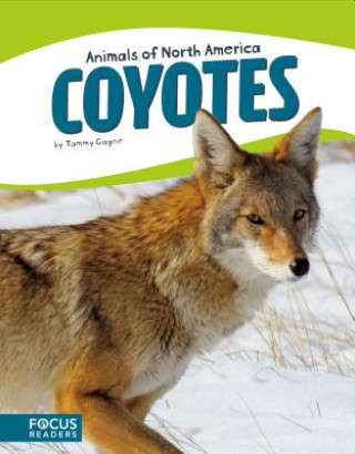 Buch Coyotes Tammy Gagne