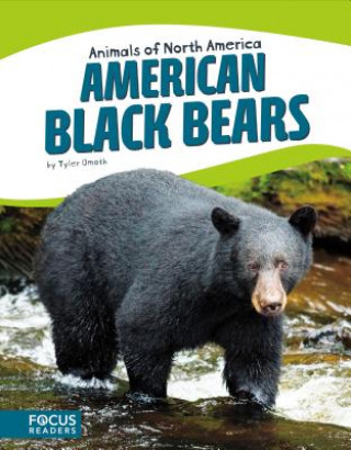 Kniha American Black Bears Tyler Omoth