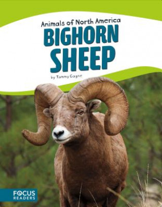 Книга Bighorn Sheep Tammy Gagne