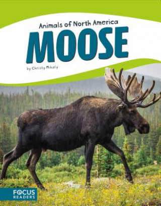 Kniha Moose Christy Mihaly