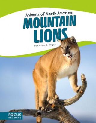 Book Mountain Lions Christa C. Hogan