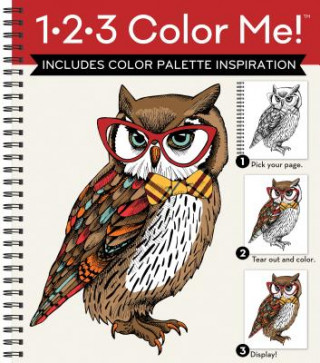 Kniha 123 COLOR ME OWL Ltd Publications International