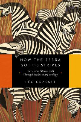 Carte How the Zebra Got Its Stripes Leo Grasset
