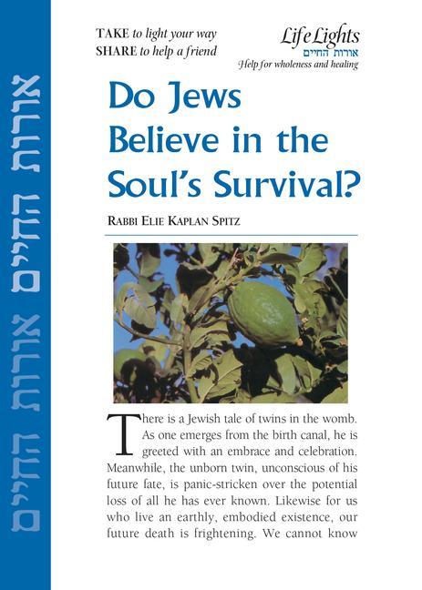 Книга PREPAK-DO JEWS BELIEVE IN SOUL Jewish Lights Publishing