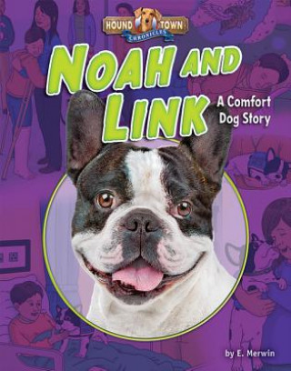 Kniha Noah and Link: A Comfort Dog Story E. Merwin