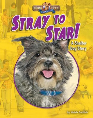 Boek Stray to Star!: A Shelter Dog Story Meish Goldish