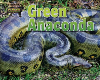 Buch GREEN ANACONDA Ellen Lawrence