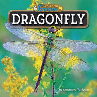 Książka DRAGONFLY Anastasiya Vasilyeva