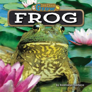 Kniha Frog Anastasiya Vasilyeva