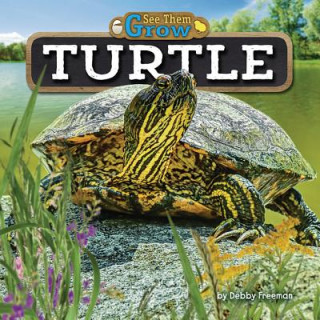 Książka TURTLE Debby Freeman