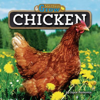 Boek Chicken Joyce Markovics