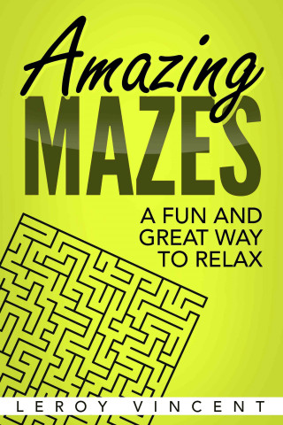 Livre Amazing Mazes Leroy Vincent