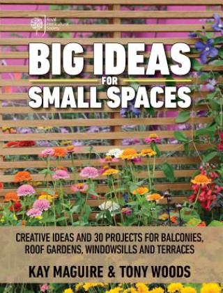 Carte Big Ideas for Small Spaces: Creative Ideas and 30 Projects for Balconies, Roof Gardens, Windowsills and Terraces Kay Maguire