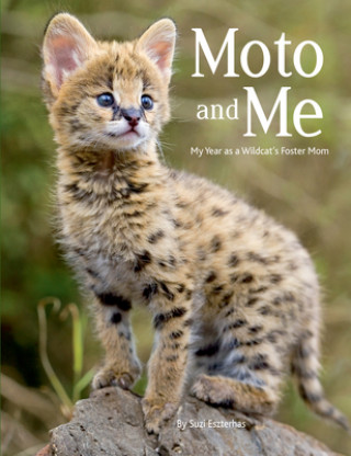 Книга Moto and Me: My Year as a Wildcat's Foster Mom Suzi Eszterhas