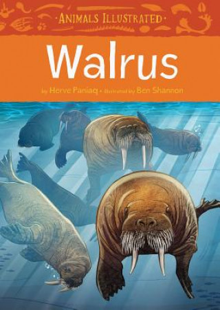 Libro Animals Illustrated: Walrus Herve Paniaq