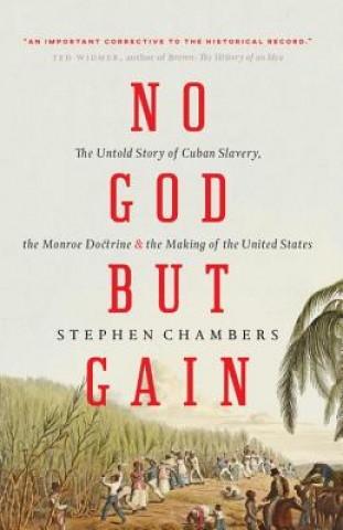 Könyv No God But Gain Stephen Chambers