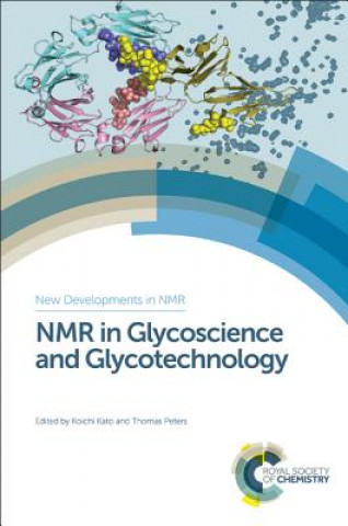 Kniha NMR in Glycoscience and Glycotechnology Kato