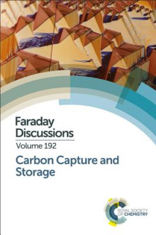 Buch Carbon Capture and Storage 